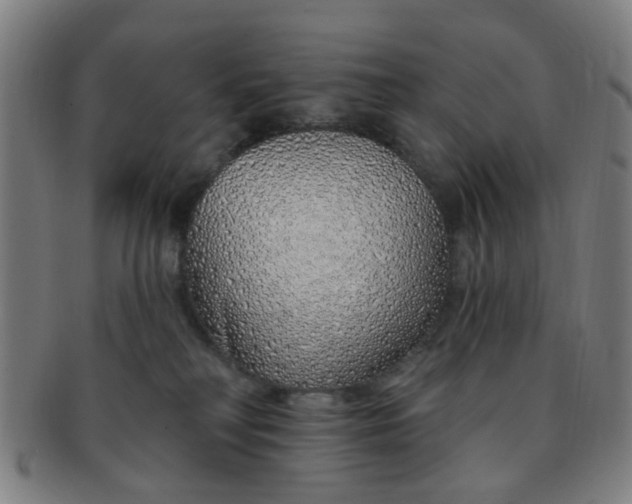 X0000091370230200708241341