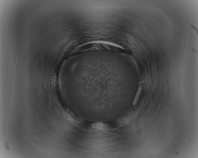 X0000091370231200708241341