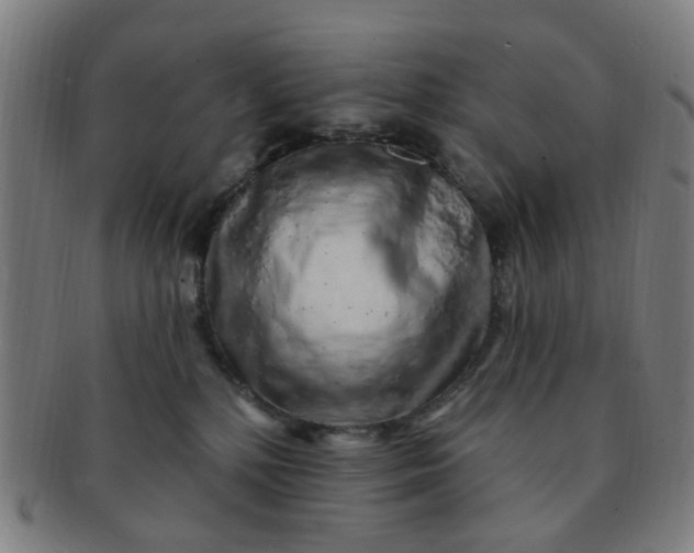 X0000091370232200708241341