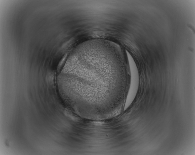 X0000091370233200708241341