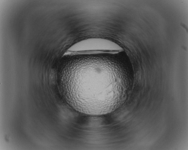 X0000091370234200708241341