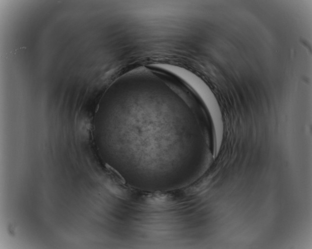 X0000091370235200708241341