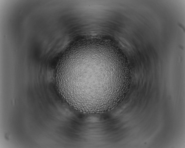 X0000091370236200708241341