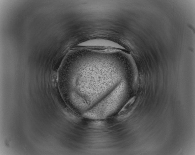 X0000091370237200708241341