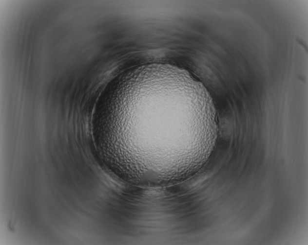 X0000091370238200708241341