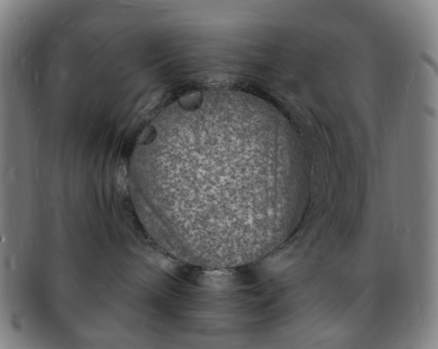 X0000091370240200708241341