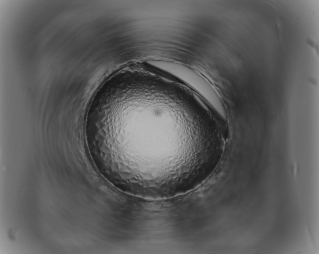 X0000091370241200708241340