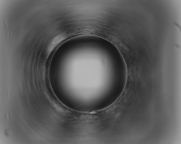 X0000091370242200708241340