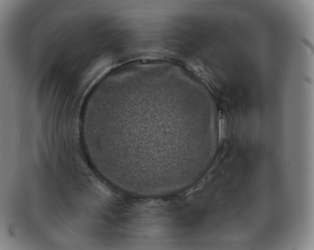 X0000091370243200708241340