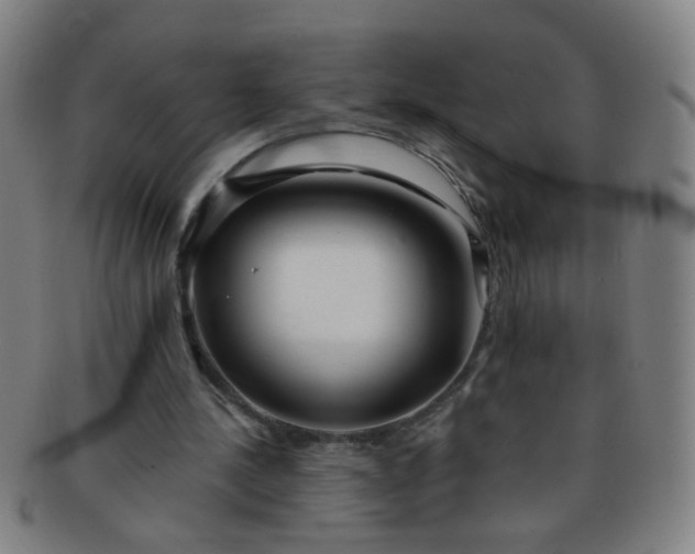 X0000091370244200708241340