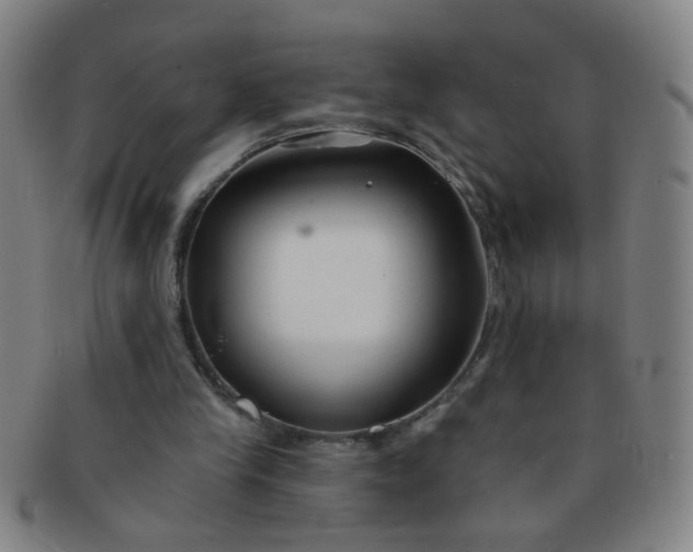 X0000091370245200708241340