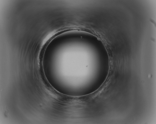 X0000091370246200708241340