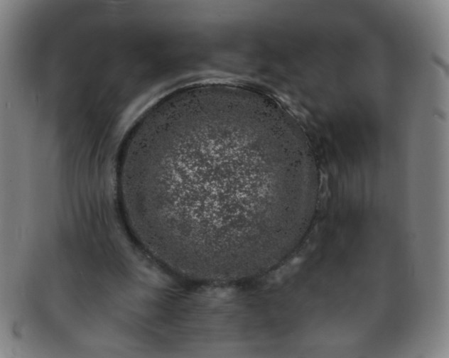 X0000091370247200708241340