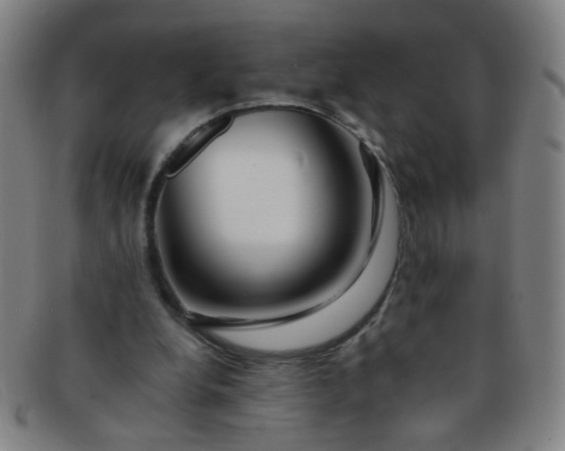 X0000091370248200708241340