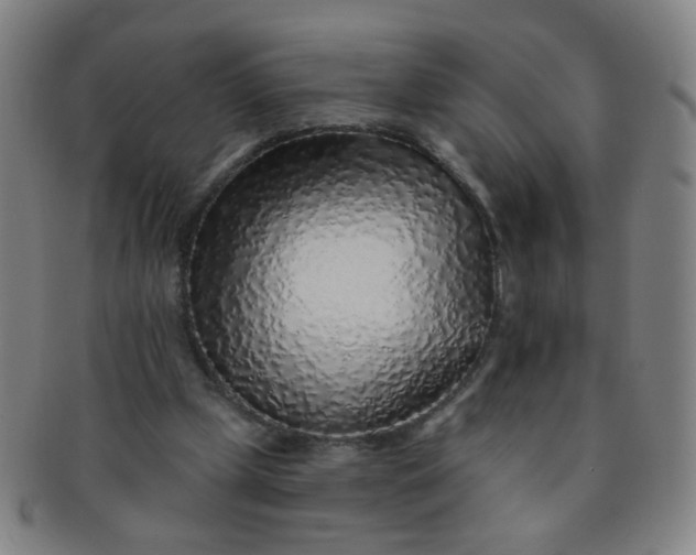 X0000091370249200708241340