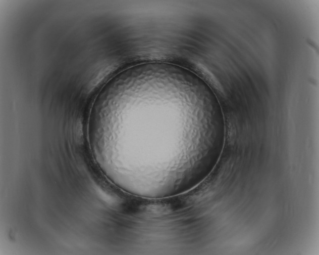 X0000091370251200708241340