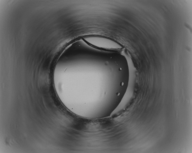 X0000091370252200708241340