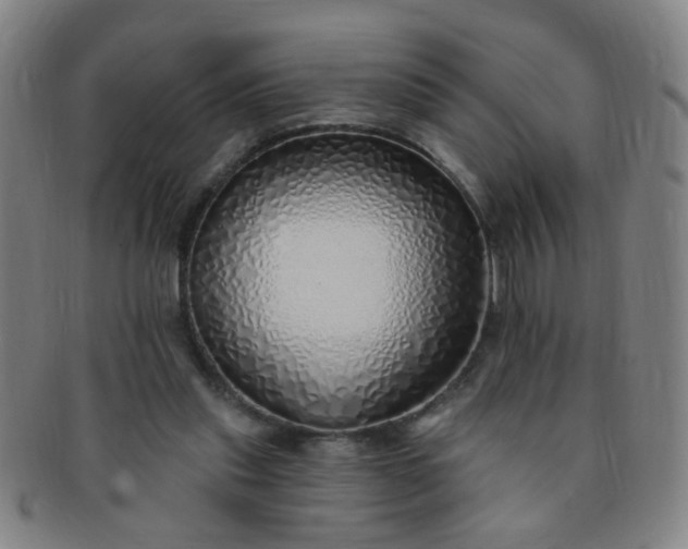 X0000091370253200708241340