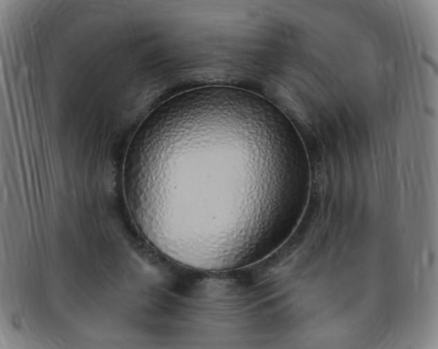 X0000091370255200708241340