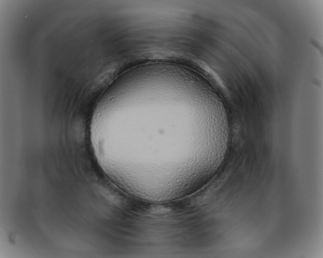 X0000091370257200708241340