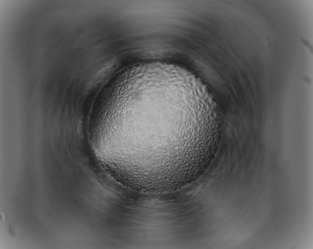 X0000091370258200708241340