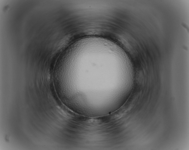 X0000091370261200708241340