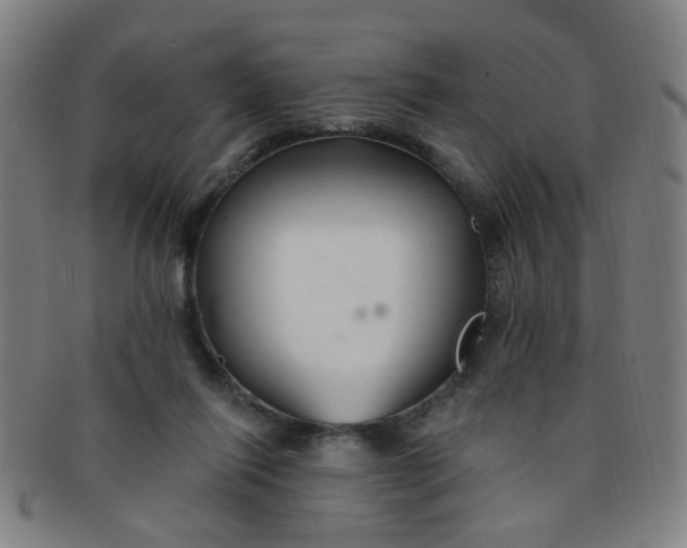 X0000091370262200708241340