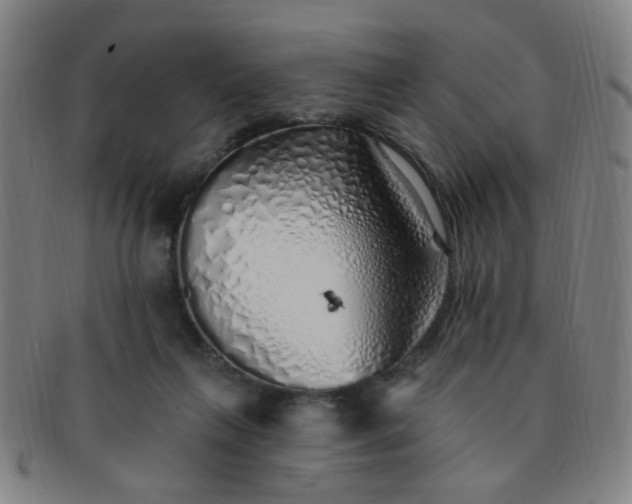 X0000091370263200708241340