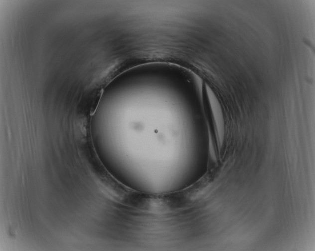 X0000091370264200708241340