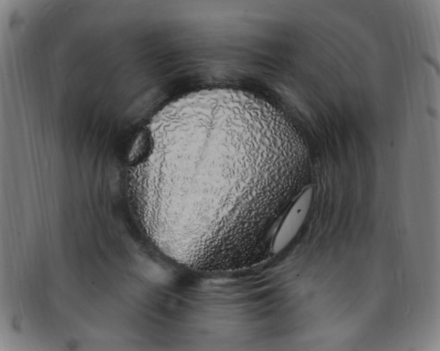 X0000091370266200708241340