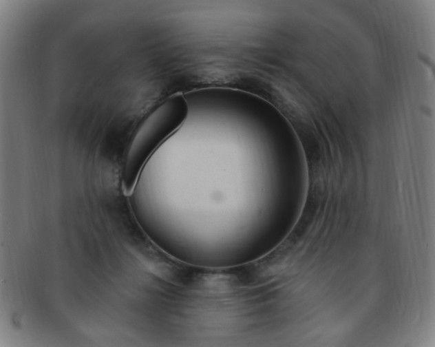 X0000091370268200708241340