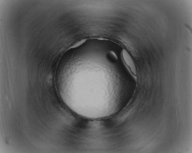 X0000091370269200708241340