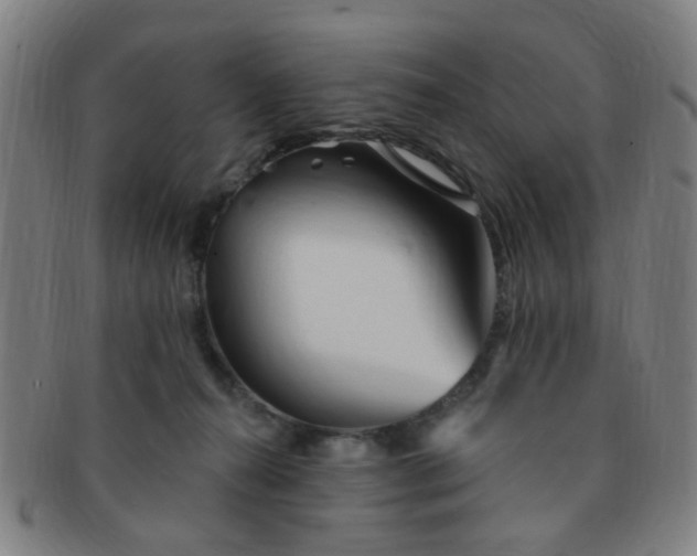 X0000091370272200708241340