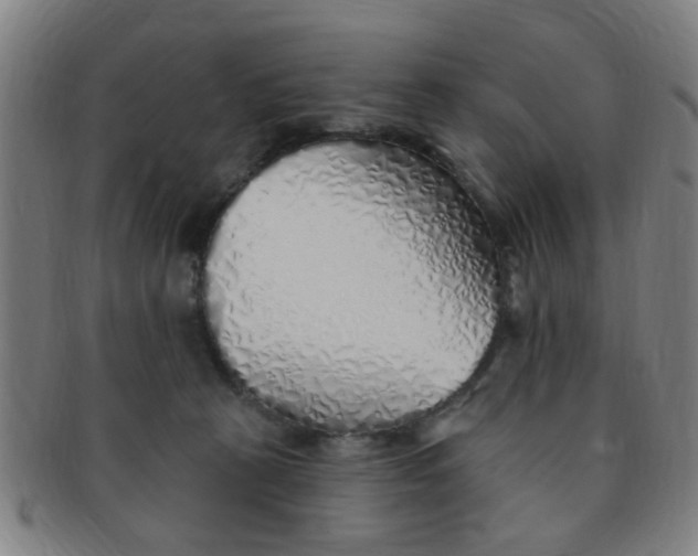 X0000091370273200708241340