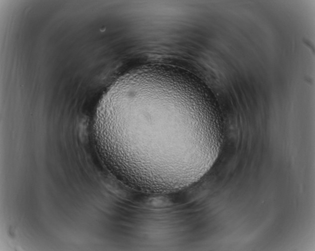 X0000091370275200708241340