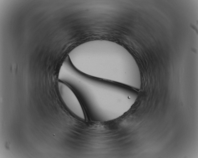 X0000091370276200708241340