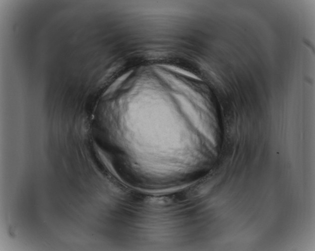 X0000091370277200708241340