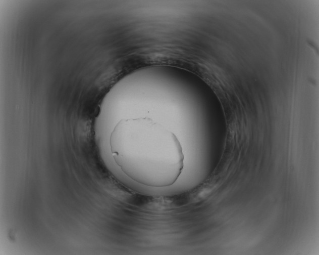 X0000091370278200708241340