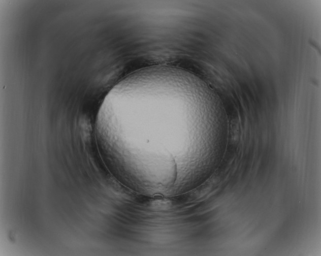 X0000091370279200708241340