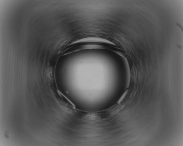 X0000091370280200708241340