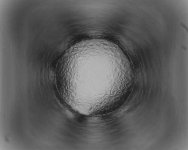 X0000091370281200708241340