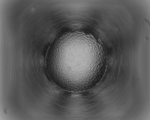 X0000091370283200708241340