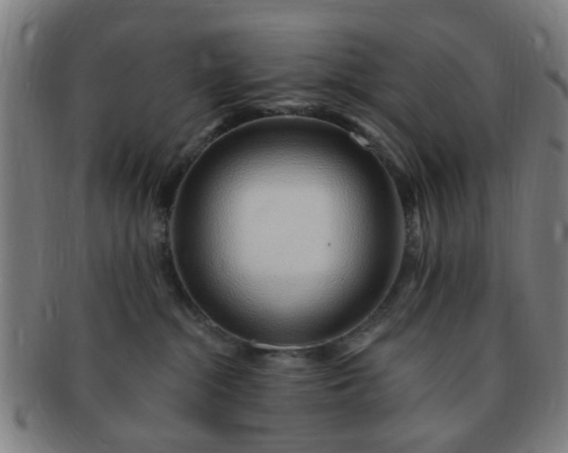 X0000091370284200708241340