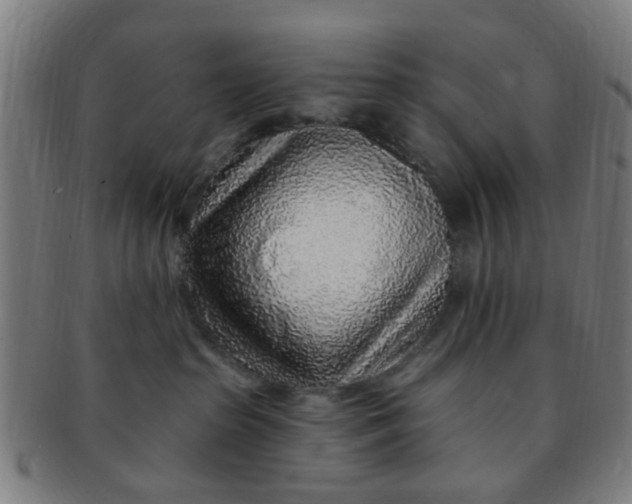 X0000091370285200708241340