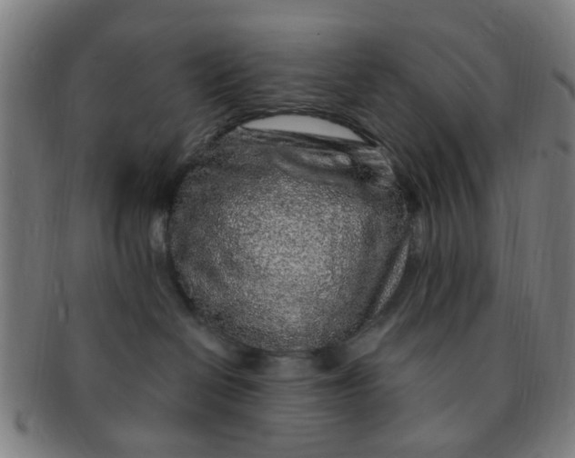 X0000091370286200708241340