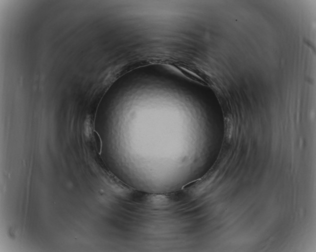 X0000091370287200708241340