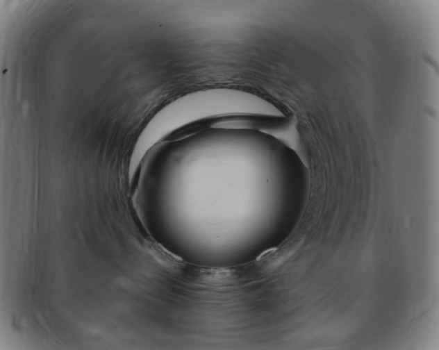 X0000091370288200708241341