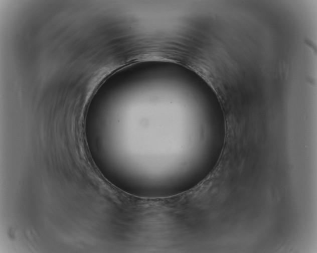 X0000091370289200708241340