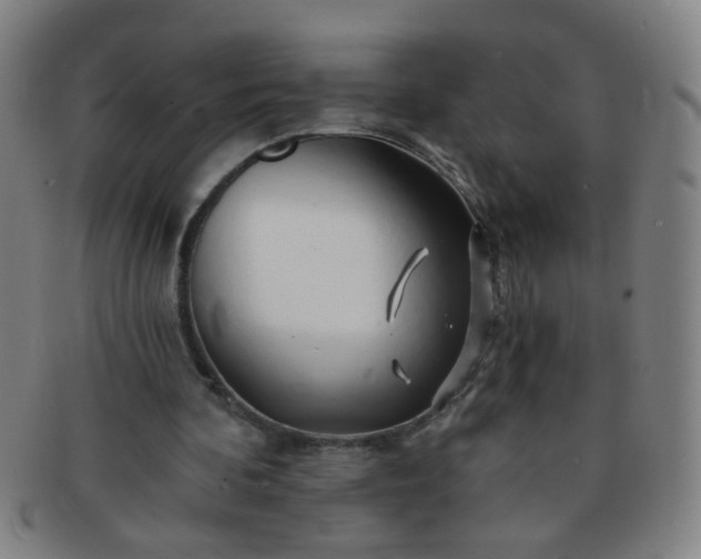 X0000091370292200708241340