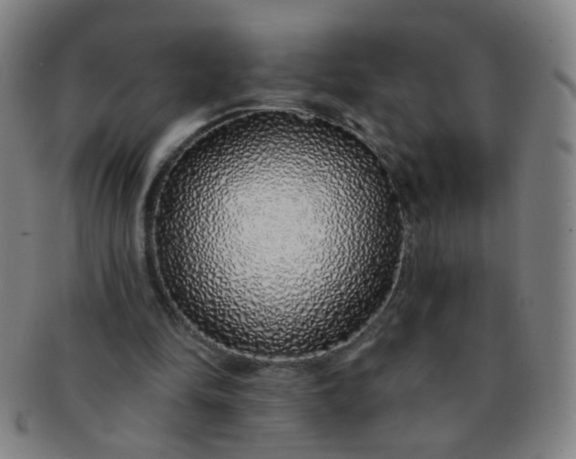 X0000091370294200708241340